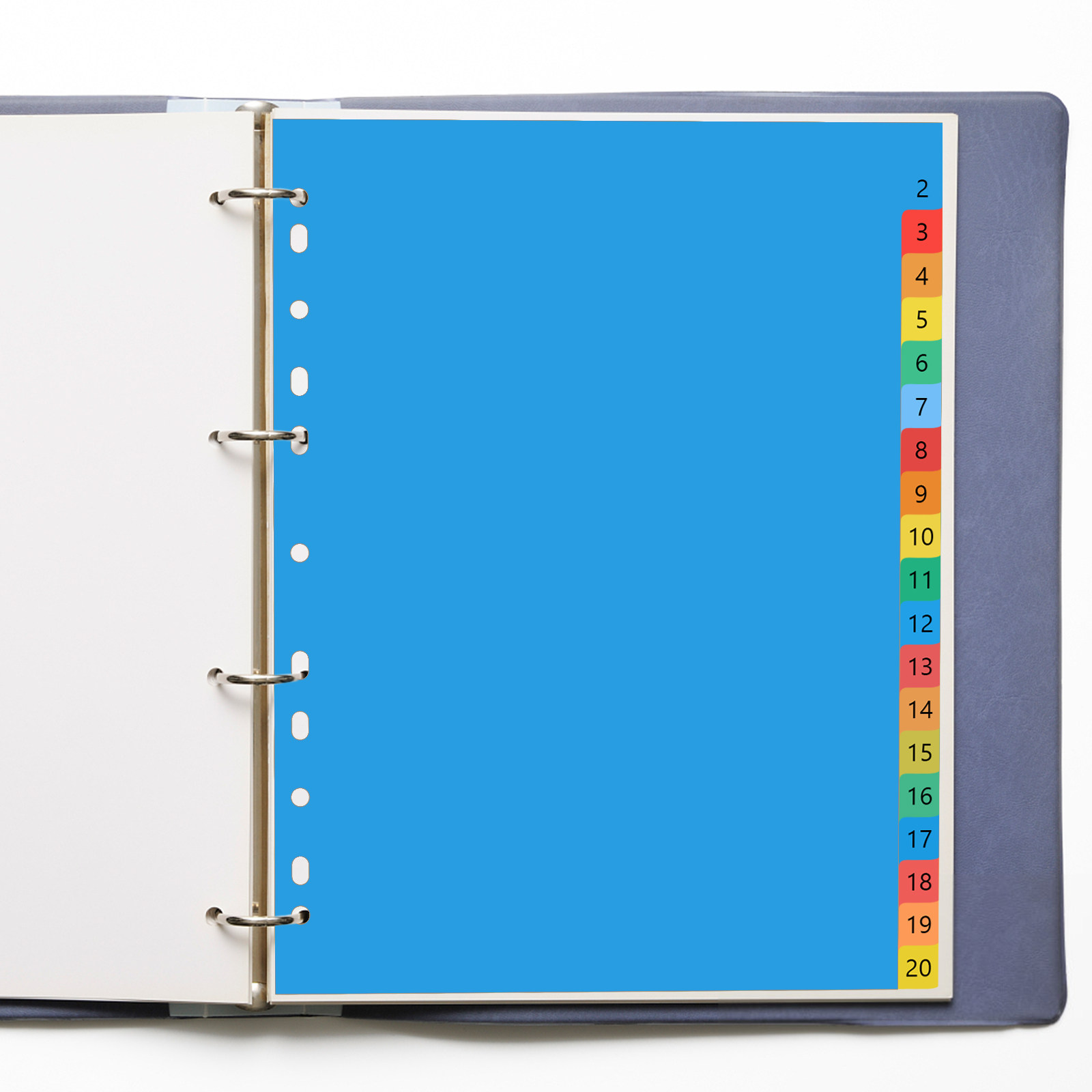 Tab Divider A4 - فواصل بلاستيكية ملونة مقاس A4 لتصنيف