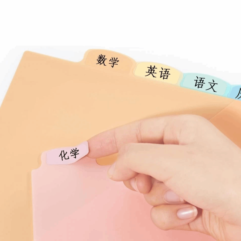 8 قطع فواصل ملفات بلاستيكية بح - مراجعة Tab Divider A4 وسعره
